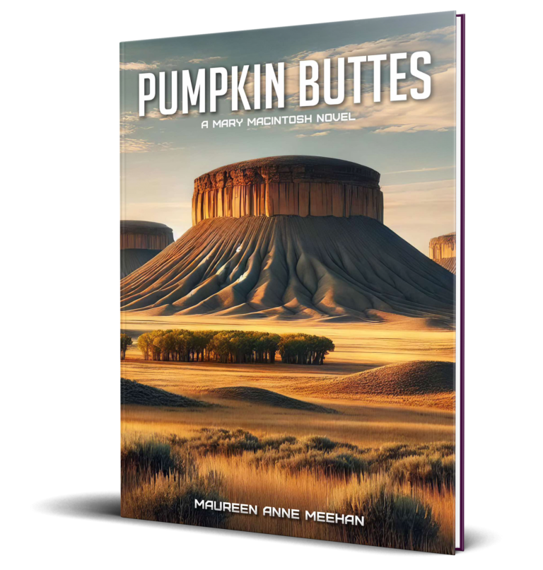 PumpkinButtes_BookMockUp