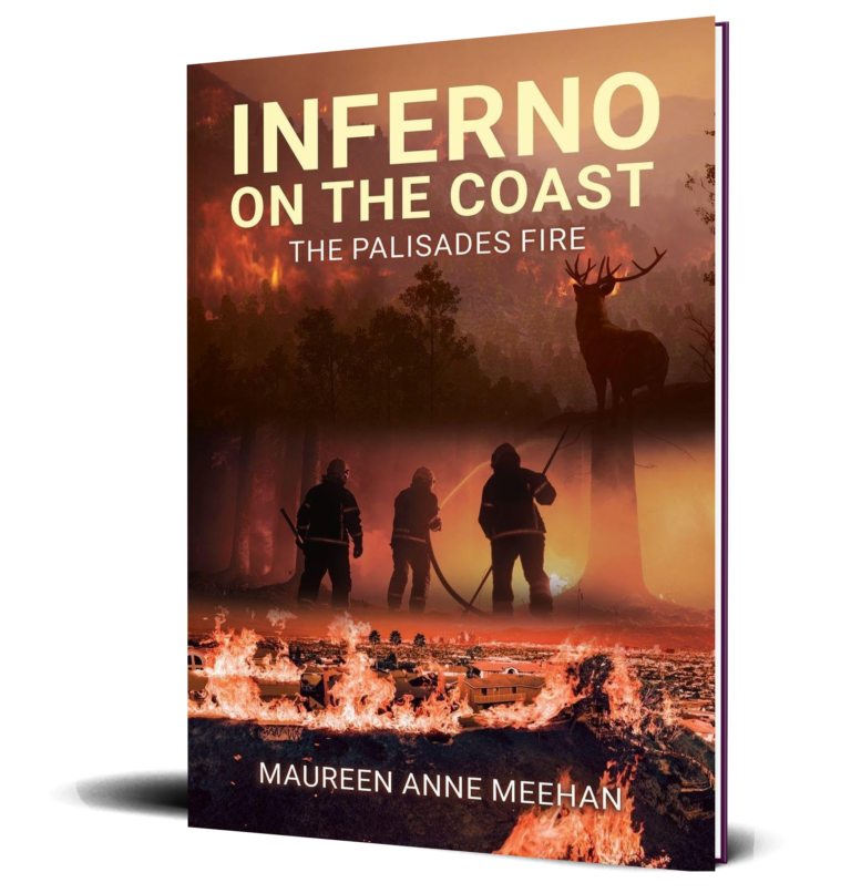 inferno on the coast mockup_cover